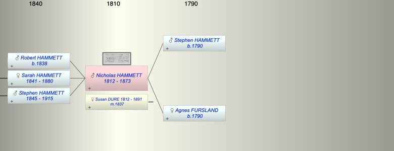 Nicholas John HAMMETT