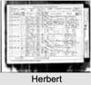 Herbert HERBERT